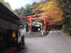 【奥嵯峨野鳥居本町】
愛宕念仏寺と化野念仏寺の間に藁葺き屋根の民家が数件並ぶ町があります。