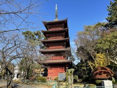 江戸時代以前に建てられた五重塔。
ベンガラを塗っただけの渋さがいい。