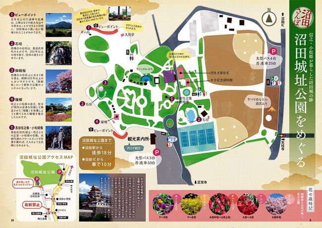 沼田の散策とあしかがフラワーパークのイルミネーション 足利 栃木県 の旅行記 ブログ By ペコちゃんさん フォートラベル 沼田の散策とあしかがフラワーパークのイルミネーション 足利 栃木県 の旅行記 ブログ By ペコちゃんさん フォートラベル