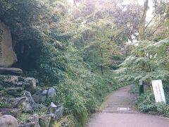 さわらびの道。
宇治上神社から、大吉山展望台へ向かいます。急な登り道。