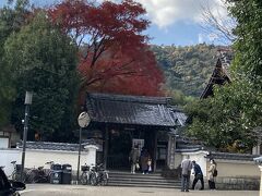 【宝筐院】
嵯峨野の大きなお寺　清涼寺の門の前に立って、西側の山の方を見ると綺麗に紅葉した紅葉のある小さな門が見えます。ここが宝筐院です。ちなみに「ほうきょういん」と読みます。、