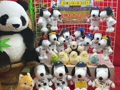 浅草橋駅でお出迎えしてくれたのは…とってもかわいいぬいぐるみたちでした。