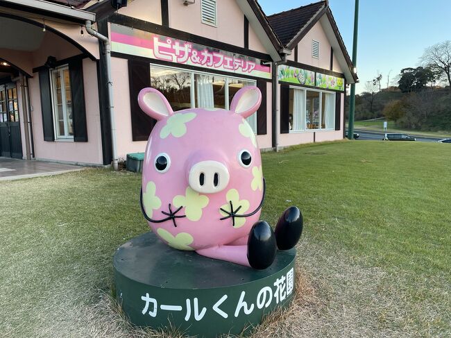21 11 ディスカバー千葉リベンジ後半 東京ドイツ村 袖ヶ浦 千葉県 の旅行記 ブログ By マユミさん フォートラベル