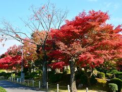 名古屋城 / 名勝二之丸庭園

ちなみに現在の名古屋城は、この那古野城をベースに作られたということです。