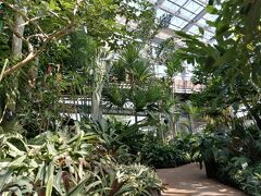 飛行機の時間までまだ余裕があったので青島の宮交ボタニックガーデンへ。

ここは県立の植物園で温室には世界中の熱帯の植物が所狭しと植えられている。ボランティアガイドもいてとても無料とは思えない充実した施設だ。

