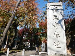 九品仏浄真寺へ