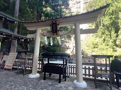 飛瀧神社の鳥居と賽銭箱があり、