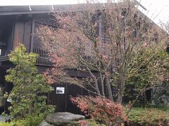 「あの 真澄 の蔵元ですね。お酒をまったく飲まない私でも知ってます。」