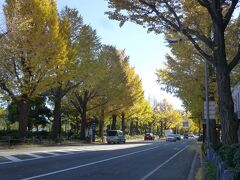 山下公園通り、紅葉がきれいでした。旅行中4日間、ずっとお天気に恵まれ、快晴でした。