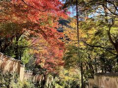 ホテルの方に奥湯河原の紅葉の名所への行き方を教わりチェックアウト。
奥湯河原は旅館が並んでいるので、駐車場らしい駐車場はなしとの事。

まずはお蕎麦屋さんの”紅葉亭”でナビをセット。

お～～これこれ。この風景。美しい。