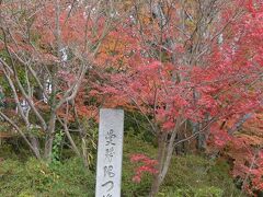 さて、曼殊院に到着です。曼殊院は門跡寺院です。

途中、鷺森神社を参拝したので、正確なところはわかりませんが、叡電の修学院駅から歩いて２０~２５分ぐらいでしょうか、途中坂もかなりきつくなるので、タクシーで来ている人も多かったです。