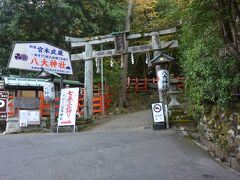 詩仙堂のすぐ横にある八大神社を参拝しました。

一乗寺下り松での決闘の前、宮本武蔵がお参りした神社で、その下り松の古木が本殿の横にありました。