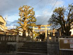 紅葉を堪能して、一乗寺下り松までやってきました。

八大神社の一の鳥居があります。
