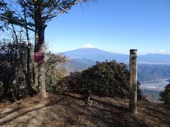 1時間ほどで篠井山に登頂