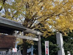 午後より北13条にある札幌諏訪神社に来ました。
明治初期の開拓時代に長野県の諏訪大社から分霊され建立されたものです。