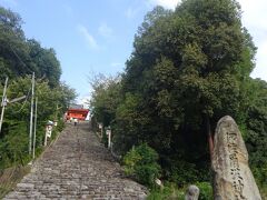 こちらはお宿の近くにあった伊佐爾波神社。遠くから見ると階段のインパクトがすごいですが、近づいてみると思ったよりは登りやすそうです。

伊佐爾波神社
https://isaniwa.official.jp/