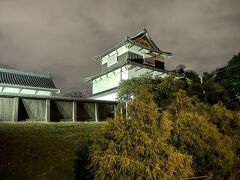 腹ごしらえに少し散歩をする。歩いてすぐのところに福岡城があった