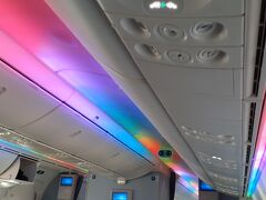 レインボーカラーの機内