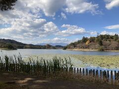 次のポイントは、何年か前に開催されたモミジサミットでも訪れたという南湖公園。私たちが８月に訪れたときは東側の「翠楽園」を中心に見ただけだったので、今回は西側を回ってみようと思います。「翠楽園」は平成7年に南湖公園の一画に完成した庭園で、松平忠信公が作った「士民共楽」の日本初の公園とは違ったのですした。