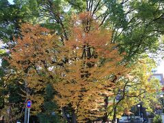 中目黒しぜんとなかよし公園の紅葉