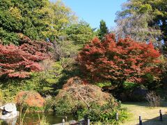 菅刈公園内にある復原庭園の紅葉