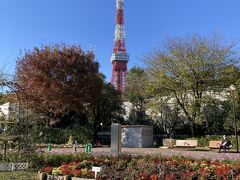 増上寺のお隣にある都立芝公園　東京タワーが見える都心とは思えない広い公園
花壇のお花もきれいで癒されますね　平日でも多くの方が滞在していました