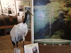 ウトナイ湖から遊歩道を進むと、「ウトナイ湖野生鳥獣保護センター」がありました。
