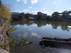 興福寺の境内から三条通りに出たところにある猿沢池。