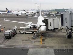 今年2度めの飛行機。
標津に行くならANAで中標津空港に向かうのが便利なんだけど、急遽決まった北海道行きだったこともあり、値段的に高くて断念。
便数が多く、幾分安い女満別空港発着プラン。片道はマイルで支払ったので片道分だけ。