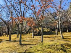 強羅公園のすぐ近くの箱根美術館にも行ってみました。
200本のモミジがあるそうです。
こちらも写真の通りほぼ散った後でした。