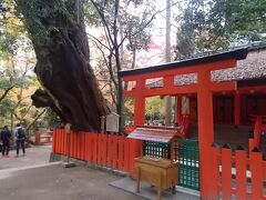 水谷神社。吉城川の上流、水谷川のほとりにあり、吉城川沿いと同様に水谷川沿いも紅葉が多い。