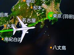 羽田空港へ-3　JAL312便　　　　64/　　　64