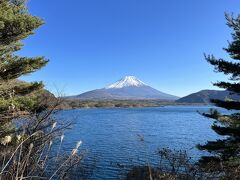 白糸の滝から、本栖湖観光案内所前まで、バスで移動。
観光案内所前からは、湖岸を歩いて本栖湖の絶景ポイントへ。
途中、湖岸の木の間から富士山が見えてきました。