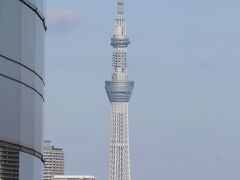 東京スカイツリー。
直線距離で約7.7km。