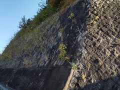 本日最後の目的地、烏土塚古墳へ
竜田川駅から近い住宅地の中、このブロック塀の上にありました