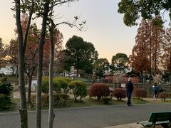 生物園のある「元渕江公園」は池もある広い公園です。