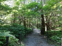 ご神体である弥彦山に登ります。
シャトルバスもあるのですが、ちょっと山歩きしてきます。