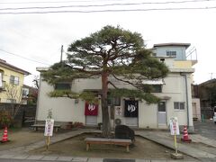 そのあと『飯坂八幡神社』へ歩みを進めると、『大門の湯』が見えてきました。
今回はパスしましたが、松の枝振りが見事です。