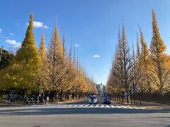 「日本オリンピックミュージアム」の見学を終え、銀杏並木まで戻って来ました。
絵画館を背にして青山通り方向を向いています。
この辺の銀杏はまだ残ってるようです。