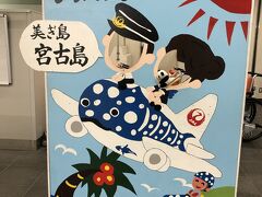 宮古空港から那覇へ移動して、この日は終了です。
3日目は那覇からスタートです。