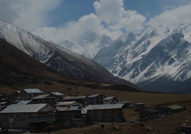 キャンジンゴンパの地は思った以上に広い谷でびっくり<br />氷河によるＵ字谷特有の景色　Ⅴ字谷の日本列島との違い歴然<br />谷は暗い・・・・のイメージはここでは通用しないのでした。