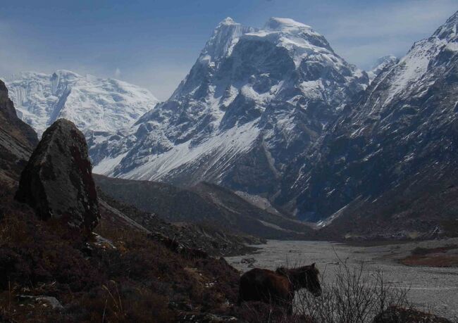 このようなところで馬に会えるとは<br />人家はないにもかかわらず・・・・<br />遠く対岸の斜面にはヤクが数頭草を食んでいた<br />エベレスト街道とは全く違う光景　気に入りました<br />