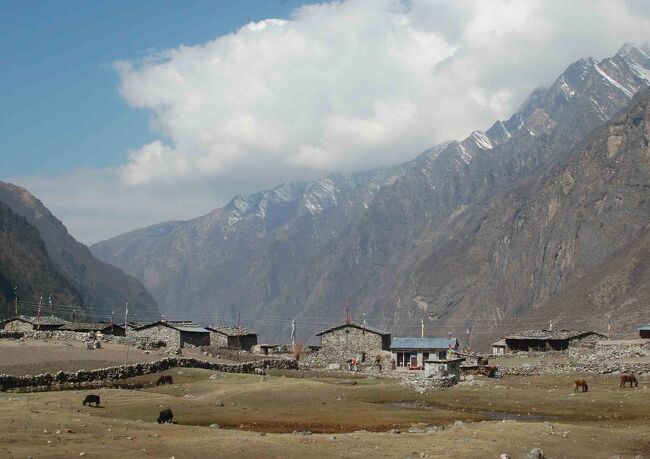 畑を下り村の手前まで来るとそこは牧草地でした<br />積み上げられた石は柵となり壁となる<br />まるで鍾乳石を見ているようです<br />こんな奥地にも電気が・・・<br />ネパールの電力はすべて水力です。一部はインドへ輸出も<br />水力発電所の多くはとても小さい・・が<br />限りなく地産地消のため送電ロスも少なく効率的<br />・・・最近日本国内でも注目されている。<br />大規模発電大量送電多量消費の象徴原発は地震国・山岳国ニッポン<br />には似合いません