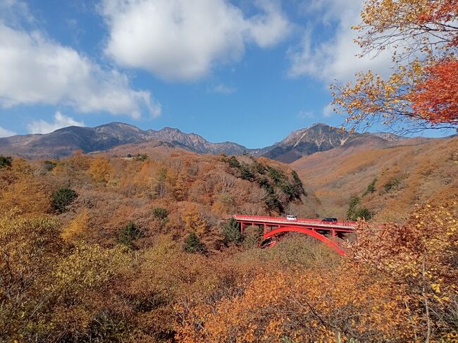 右側にちょっとだけ手前にある紅葉を入れて、八ヶ岳連峰や赤い橋、山肌の紅葉を混ぜるように撮影します。絶景過ぎて何の言葉も出ません！