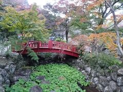 そのあとは熱海梅園へ
２月は梅の名所になるけど、１１～１２月は紅葉の名所になる
ちょうど紅葉祭りを開催していた