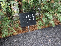 たぶん、団体行動だったら絶対訪問しないところです。