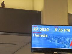 ダニエル K イノウエ国際空港 / ホノルル国際空港 (HNL)