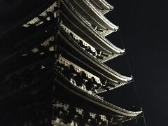 正倉院を見て奈良国立博物館を出たら、もうとっぷり日がくれてました。
奈良の夜は早い。街灯が少ないからか18時ごろで真っ暗で、東京なら20時くらいの感覚です。

期間限定の興福寺五重塔の夜間拝観。
結構、並びました。