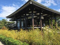 中宮寺です。夢殿の隣なので、立ち寄りやすい寺院です。