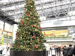 新千歳空港のクリスマスツリー。

充実の師走弾丸ツアーでした。